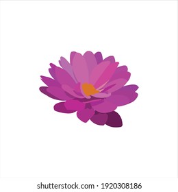 flor de loto púrpura flor vector diseño digital gráfico 2d hd ilustración