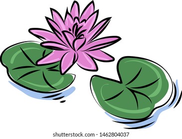 Purple lotus flower, illustration, vector on white background.