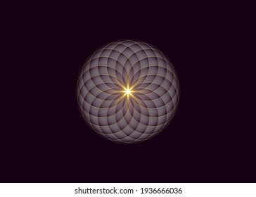 purple Lotus, Flower of Life. Sacred Geometry. Symbol of Harmony and Balance. Sign of purity. Violet Flower gold shiny logo design vector isolated on black background