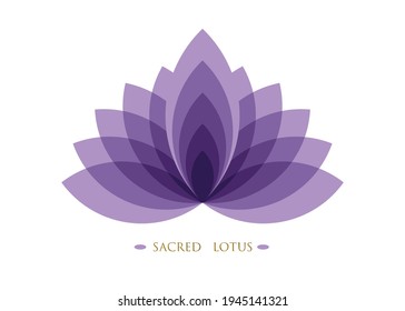 Purple Lotus, Flower of Life. Sacred Geometry. Symbol of Harmony and Balance. Sign of purity. Flower logo design vector isolated on white background