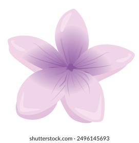 Purple lotus flower. vector illustration