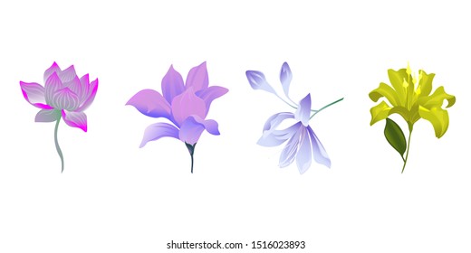 Purple Lotus. Purple Magnolia. Violet Agapanthus Lily. Yellow Lilium. Vector illustration. Isolated illustration element. Floral botanical flower. Wild leaf wildflower isolated. Exotic tropical.