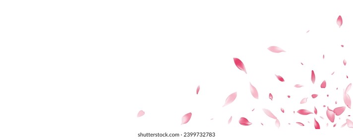 Purple Lotus Petal Vector Panoramic Background. Transparent Valentine Rose Petal Frame. Apple Petal Blossom Banner. Flying Flower Petal Illustration.