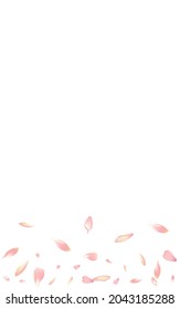 Purple Lotus Petal Vector White Background. White Dream Apple Petal Banner. Flower Petal Modern Poster. Japan Cherry Petal Card.