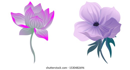 Purple Lotus. Violet Anemone. Vector illustration. Isolated illustration element. Floral botanical flower. Wild leaf wildflower isolated. Exotic tropical hawaiian jungle.