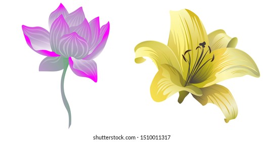 Purple Lotus. Yellow Lilium. Vector illustration. Isolated illustration element. Floral botanical flower. Wild leaf wildflower isolated. Exotic tropical hawaiian jungle.