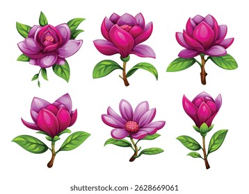 Purple magnolia flowers in various blooming stages with green leaves. Vector cartoon illustration