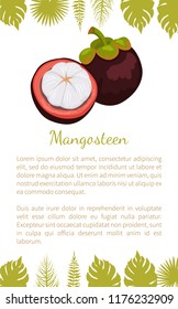 Purple mangosteen exotic juicy fruit vector poster text sample and palm leaves. Tropical edible food, dieting vegetarian plant with endocarp white inside