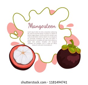 Purple mangosteen exotic juicy fruit icon vector poster frame and text. Tropical edible food, dieting plant full of vitamins with endocarp white inside