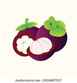 Purple Mangosteen Fruit Isolated Vector