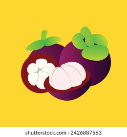 Vector aislado de fruta de mangostán púrpura