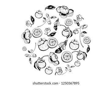 Purple mangosteen fruits, flowers, and leaves items composed in circle shape on white background. Tasty sweet garcinia mangostana hand drawn in black and white.