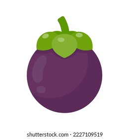 purple mangosteen sweet tropical fruit