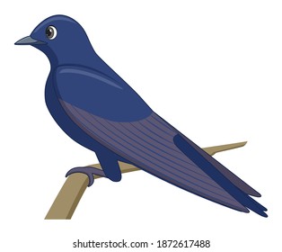 44 Purple martin Stock Vectors, Images & Vector Art | Shutterstock