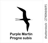 Purple Martin Bird Silhouette Vector Illustration Isolated on White Background (Progne subis)