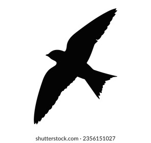 Purple Martin Flying Bird Black Silhouette Vector.