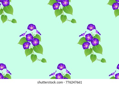 Purple Morning Glory Seamless on Green Mint Background. Vector Illustration.