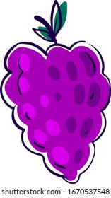 Mullberry púrpura, ilustración, vector sobre fondo blanco.