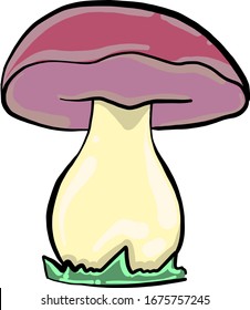 Purple mushroom, illustration, vector on white background.