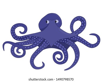 Purple octopus cartoon character. Octopus flat vector isolated on white background. 