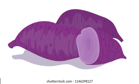 Purple or Okinawa yam Root crops Healthy food concept isolated on white background, illustration, vector