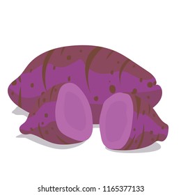 Purple or Okinawa yam sweet potato Root crops Healthy food concept isolated on white background, illustration, vector
