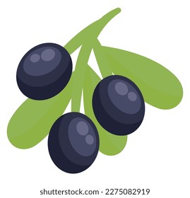 purple olive branch over white
