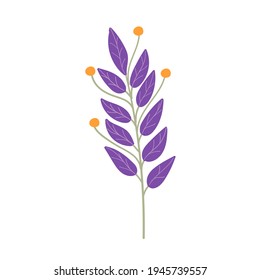 purple olive branch. Vector illustration