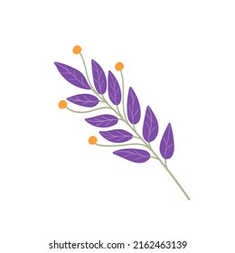 purple olive branch. Vector illustration