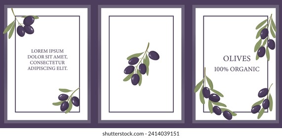 Purple olives template set. Fruit labels set. 3 labels of purple olives kalamata, with place of text. For product packaging. Vector illustration. 