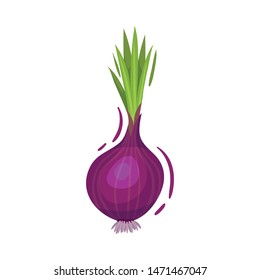 Purple onion. Vector illustration on white background.