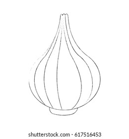 purple onion vegetable icon image 