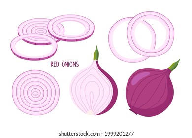 violette Zwiebeln einzeln auf Weiß. Ganze Glühbirne, Hälfte, gehackte Ringe. Für die Speisekarte, Bauern Markt, vegetarisches Rezept. pflanzliche Bestandteile zum Kochen. Vektorgrafik der roten, süßen Zwiebel