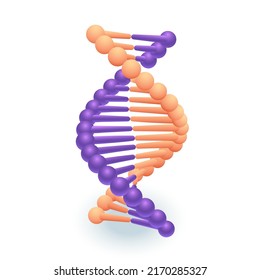 Icono 3D de molécula de ADN morado y naranja. Hélice de ADN, código genético, ilustración vectorial 3D de ácido nucleico sobre fondo blanco. Ciencia, medicina, biotecnología, educación, biología, química