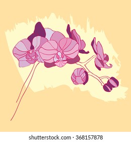 Purple orchid bloom Vector Background Illustration