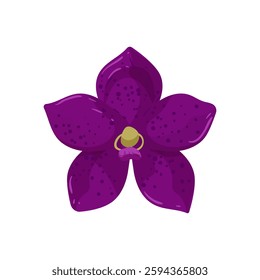 Purple orchid flower with delicate petals on a white background