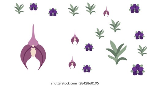 purple orchid flower vector design elements featuring green leaves and beautiful floral patterns for graphic projects and botanical illustrations