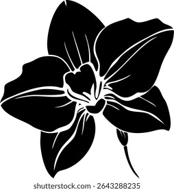 Purple Orchid Flower Vector, Elegant Floral Design, Botanical Art, Tropical Orchid Illustration, Nature Beauty Artwork