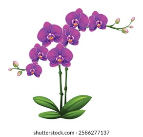 Purple orchid flowers with bright petals and green leaves. Vector illustration