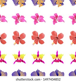 Purple Orchid. Pink Bauhinia Purpurea. Red Hibiscus. Pink Orchid. Vector illustration. Seamless background pattern. Floral botanical flower. Wild leaf wildflower isolated. Exotic tropical hawaiian.