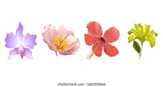Purple Orchid. Pink Peony. Red Hibiscus. Yellow Lilium. Vector illustration. Isolated illustration element. Floral botanical flower. Wild leaf wildflower isolated. Exotic tropical hawaiian jungle.