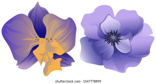 Purple Orchid. Violet Anemone. Vector illustration. Isolated illustration element. Floral botanical flower. Wild leaf wildflower isolated. Exotic tropical hawaiian jungle.