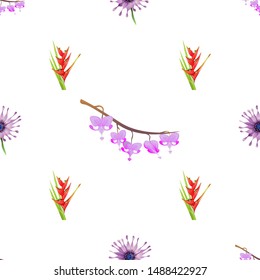 Purple Osteospermum Daisybush. Purple Komakusa. Red Heliconia Bihai. Vector illustration. Seamless background pattern. Floral botanical flower. Wild leaf wildflower isolated. Exotic tropical.