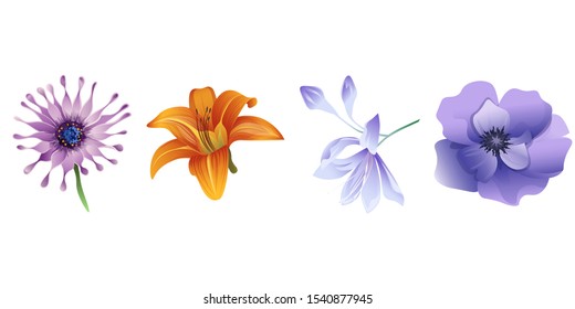 Purple Osteospermum Daisybush. Orange Daylily. Violet Agapanthus Lily. Violet Anemone. Vector illustration. Isolated illustration element. Floral botanical flower. Wild leaf wildflower isolated.