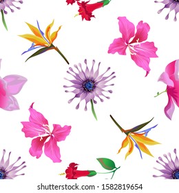 Purple Osteospermum Daisybush. Pink Magnolia. Red Angel Trumpet. Yellow bird of paradise Strelitzia. Pink Bauhinia Purpurea. Vector illustration. Seamless background pattern. Floral botanical.
