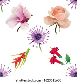 Purple Osteospermum Daisybush. Pink Magnolia. Pink Rose. Red Heliconia Bihai. Red Angel Trumpet. Vector illustration. Seamless background pattern. Floral botanical flower. Wild leaf wildflower.
