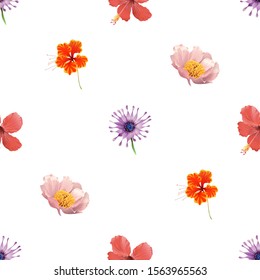 Purple Osteospermum Daisybush. Red Hibiscus. Pink Peony. Orange Rose Mallow. Vector illustration. Seamless background pattern. Floral botanical flower. Wild leaf wildflower isolated. Exotic tropical.
