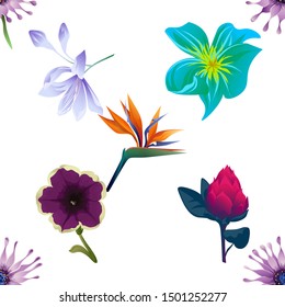 Purple Osteospermum Daisybush. Violet Agapanthus Lily. Green Plumeria. Violet Petunia. Red Vriesea. Orange Strelitzia Reginae. Vector illustration. Seamless background pattern. Floral botanical.
