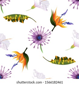 Purple Osteospermum Daisybush. White Hibiscus. Yellow Banana Leaf. Orange Strelitzia. Vector illustration. Seamless background pattern. Floral botanical flower. Wild leaf wildflower isolated. Exotic.