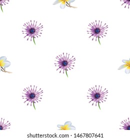 Purple Osteospermum Daisybush. White Plumeria. Vector illustration. Seamless background pattern. Floral botanical flower. Wild leaf wildflower isolated. Exotic tropical hawaiian jungle. Fabric.